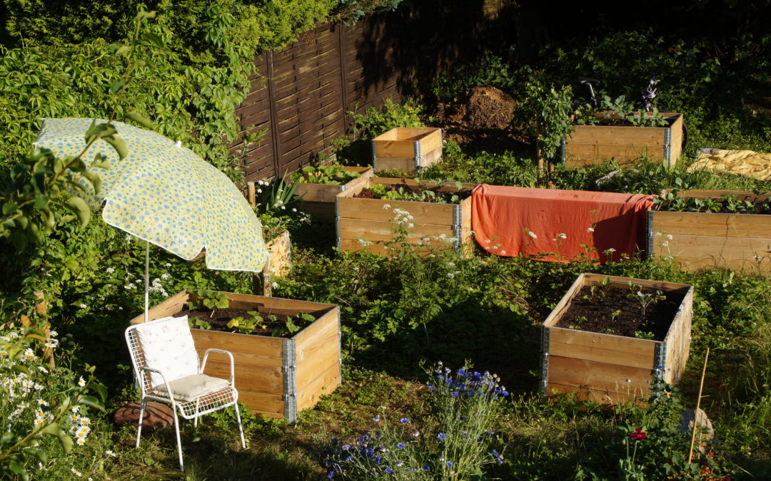 Erdfest Initiative – Interessengemeinschaft Gesunder Boden e.V.