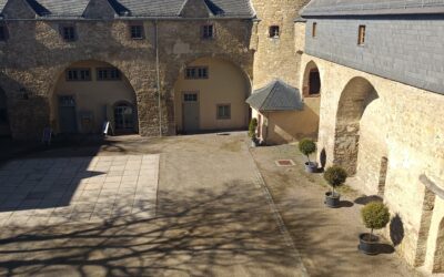 Blossfeldt 160 – Kunstprojekt für Schüler im Schloss Harzgerode