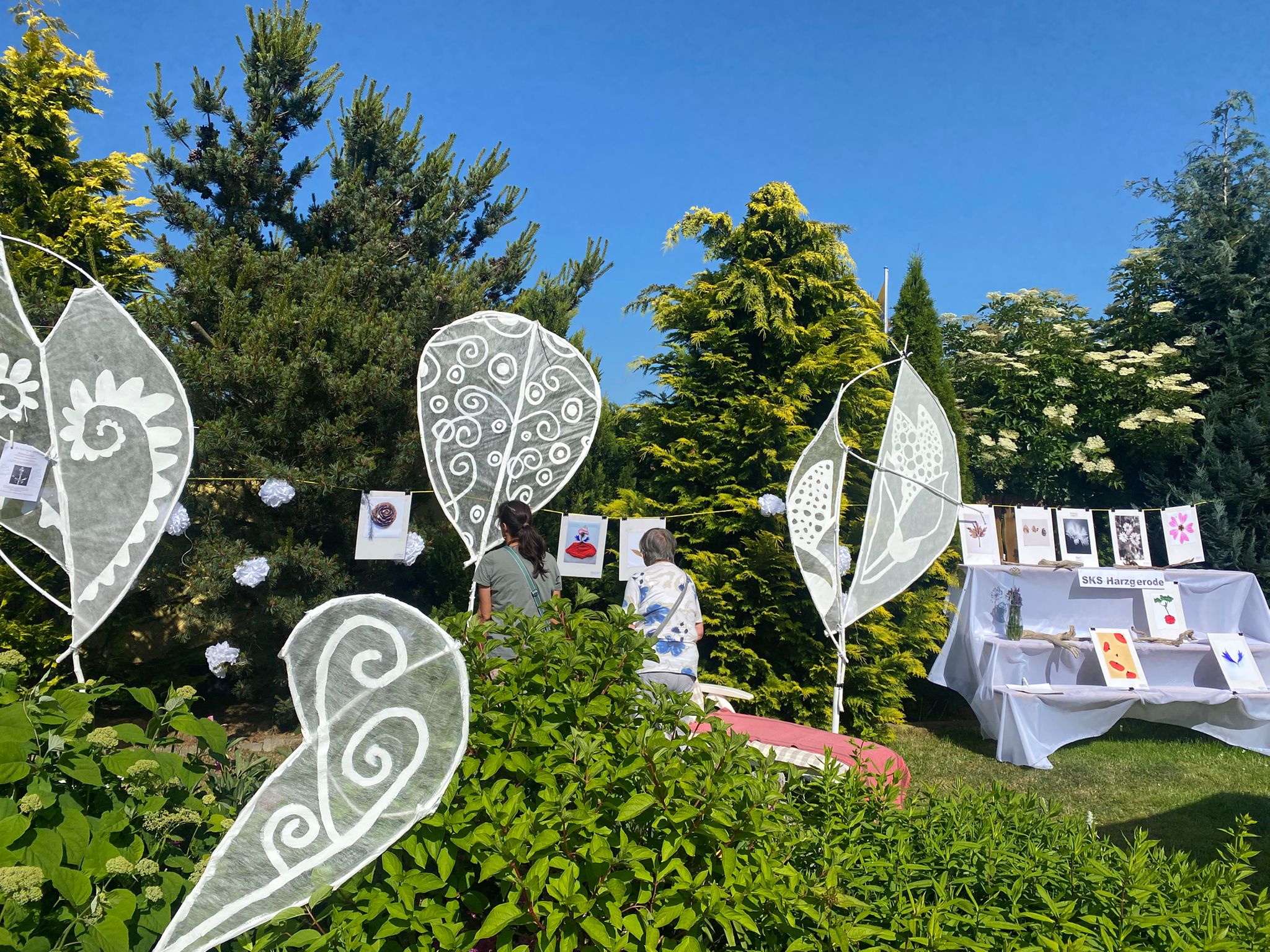 Broschüre zum Projekt Blossfeldt 160