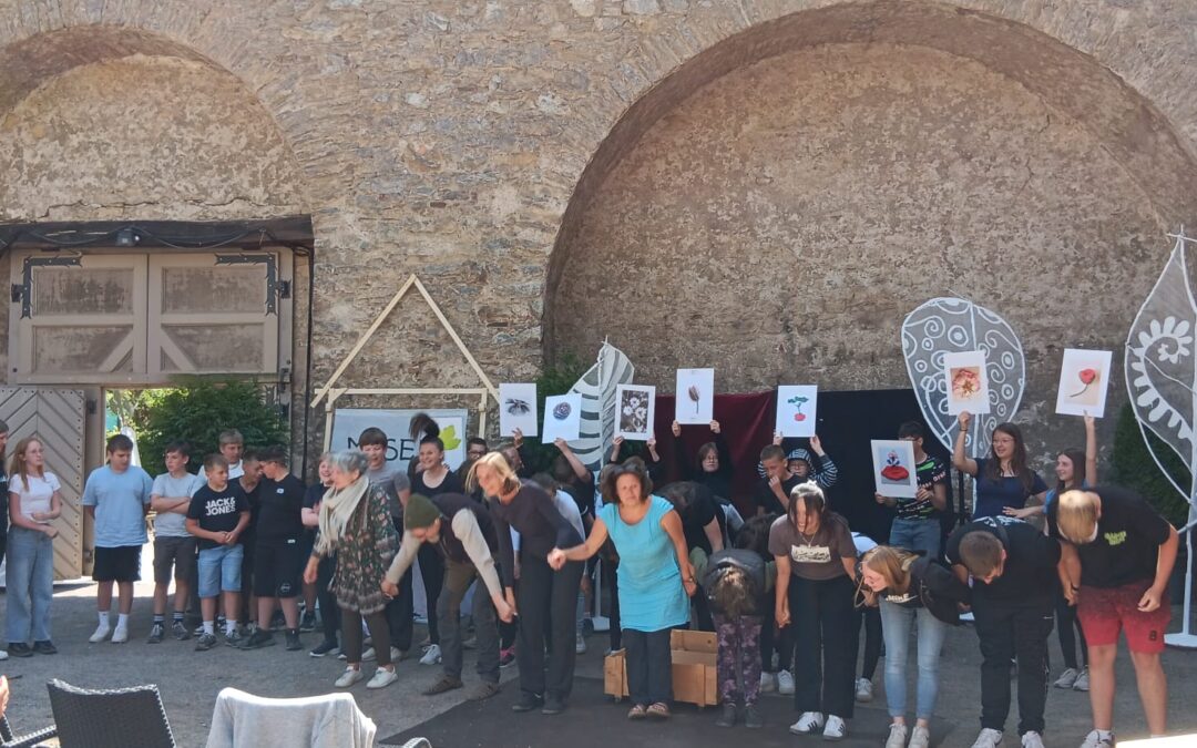 Berichterstattung über Projekt Blossfeldt 160